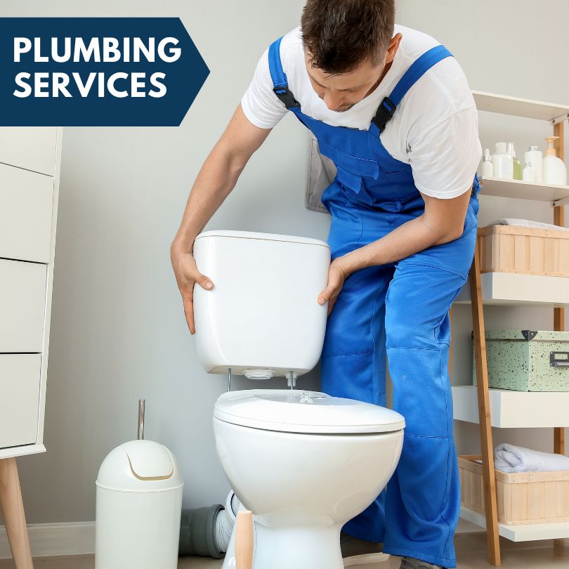 Plumbing Company in Hornick, IA
